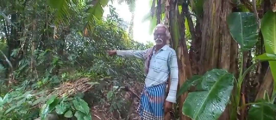 পুকুরে পড়ে থাকা নরকঙ্কালের কাছে উদ্ধার নিখোঁজ যুবকের সাইকেল, চাঞ্চল্য কালনায়