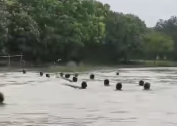 মানিকচকের ভূতনীতে বন্যার জলে তলিয়ে গেল কিশোরী, ফোন করেও এনডিআরএফ আসেনি বলে অভিযোগ, গ্রামবাসীরাই উদ্ধার করল দেহ 