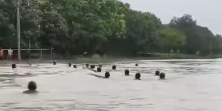 মানিকচকের ভূতনীতে বন্যার জলে তলিয়ে গেল কিশোরী, ফোন করেও এনডিআরএফ আসেনি বলে অভিযোগ, গ্রামবাসীরাই উদ্ধার করল দেহ 