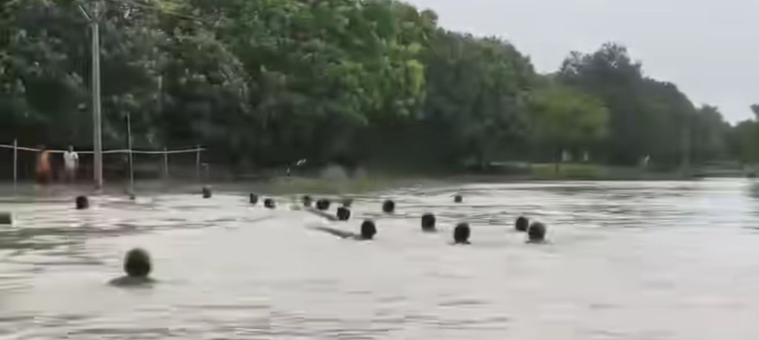 মানিকচকের ভূতনীতে বন্যার জলে তলিয়ে গেল কিশোরী, ফোন করেও এনডিআরএফ আসেনি বলে অভিযোগ, গ্রামবাসীরাই উদ্ধার করল দেহ 