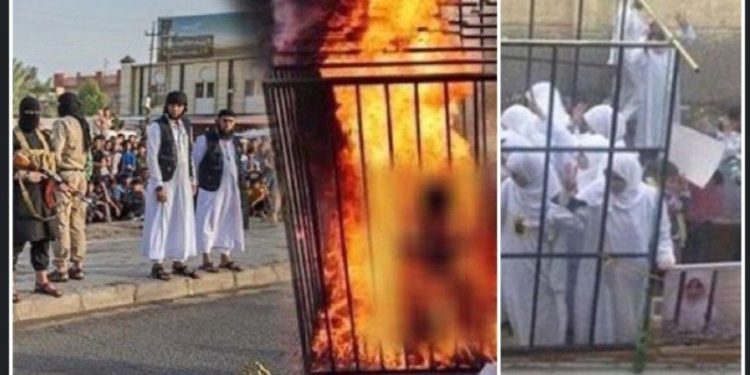 ১৯ জন ইয়াজিদি মেয়েকে জীবন্ত পুড়িয়ে মারার ঘটনা : ইসলামি স্টেটের যে নৃশংসতার কথা স্মরণ করে আজও শিহরিত হয়ে ওঠে বিশ্ববাসী, এই বিশেষজ্ঞ বর্ণনা করেছেন ইয়াজিদি সম্প্রদায়ের ধ্বংস হওয়ার ইতিহাস  