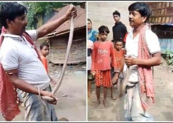 গোখরো সাপ ধরে কেরামতি দেখাতে গিয়ে ছোবল খেলেন যুবক
