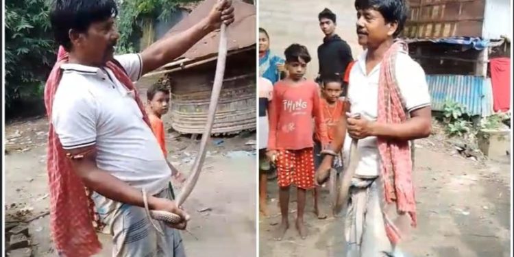 গোখরো সাপ ধরে কেরামতি দেখাতে গিয়ে ছোবল খেলেন যুবক