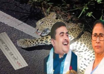“বিষ্ণুপুরে চিতাবাঘ মারা গেছে এসআইআর আতঙ্কে” : তৃণমূলকে নিয়ে মজা করলেন শুভেন্দু অধিকারী