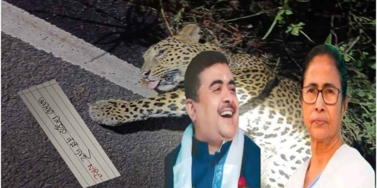 “বিষ্ণুপুরে চিতাবাঘ মারা গেছে এসআইআর আতঙ্কে” : তৃণমূলকে নিয়ে মজা করলেন শুভেন্দু অধিকারী