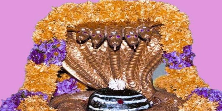 শ্রী মল্লিকার্জুন মঙ্গলাশাসনম্ মন্ত্র ও মল্লিকার্জুন জ্যোতির্লিঙ্গের কাহিনী