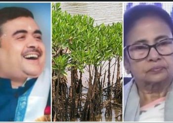 “পাহাড়ে ম্যানগ্রোভ” লাগানোর নির্দেশ মমতার, ‘মূর্খ মন্ত্রী’-কে ভূগোল ও বোটানিতে নোবেল দেওয়ার প্রস্তাব দিলেন শুভেন্দু 