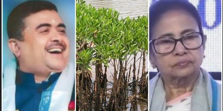“পাহাড়ে ম্যানগ্রোভ” লাগানোর নির্দেশ মমতার, ‘মূর্খ মন্ত্রী’-কে ভূগোল ও বোটানিতে নোবেল দেওয়ার প্রস্তাব দিলেন শুভেন্দু 