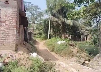 বিবাহিত মহিলাকে জঙ্গলে টেনে নিয়ে গিয়ে ধর্ষণের চেষ্টার অভিযোগে গ্রেপ্তার তৃণমূল কংগ্রেসের সক্রিয় কর্মী  