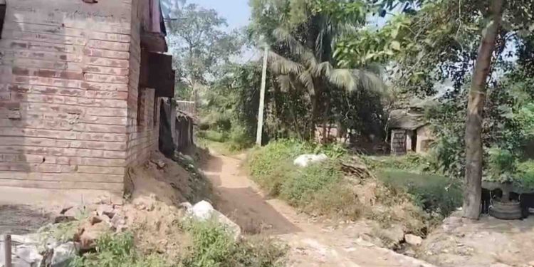 বিবাহিত মহিলাকে জঙ্গলে টেনে নিয়ে গিয়ে ধর্ষণের চেষ্টার অভিযোগে গ্রেপ্তার তৃণমূল কংগ্রেসের সক্রিয় কর্মী  