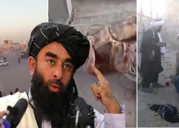 স্পিন বোলদাকে হামলা চালিয়ে পাকিস্তান ১২ জন সাধারণ মানুষকে  মেরে ফেলেছে বলে অভিযোগ করলেন তালিবান মুখপাত্র 