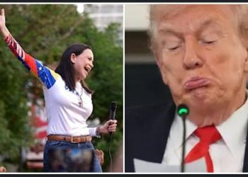 নোবেল শান্তি পুরস্কার হাতছাড়া,  শোকে বিহ্বল ডোনাল্ড ট্রাম্প 