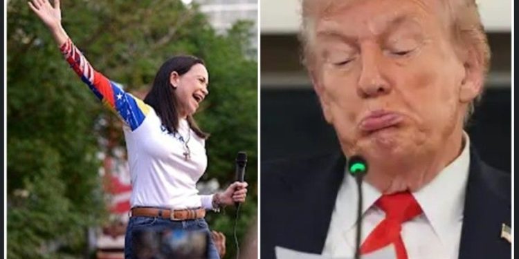 নোবেল শান্তি পুরস্কার হাতছাড়া,  শোকে বিহ্বল ডোনাল্ড ট্রাম্প 