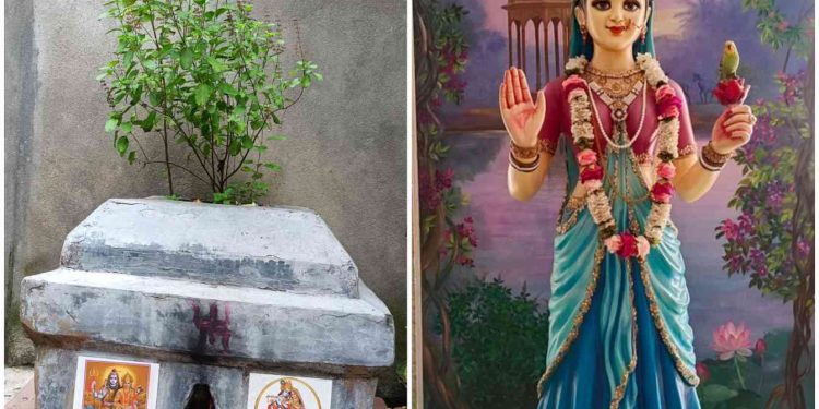 শ্রী তুলসী অষ্টোত্তর শতনাম স্তোত্রম্ ও শাস্ত্রমতে তুলসীর মাহাত্ম্য