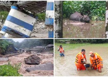 দার্জিলিংয়ে ভারী বর্ষণে প্রাণহানির ঘটনায় শোক প্রকাশ করে সর্বতোভাবে সাহায্যের আশ্বাস দিলেন প্রধানমন্ত্রী নরেন্দ্র মোদী 