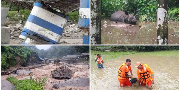 দার্জিলিংয়ে ভারী বর্ষণে প্রাণহানির ঘটনায় শোক প্রকাশ করে সর্বতোভাবে সাহায্যের আশ্বাস দিলেন প্রধানমন্ত্রী নরেন্দ্র মোদী 