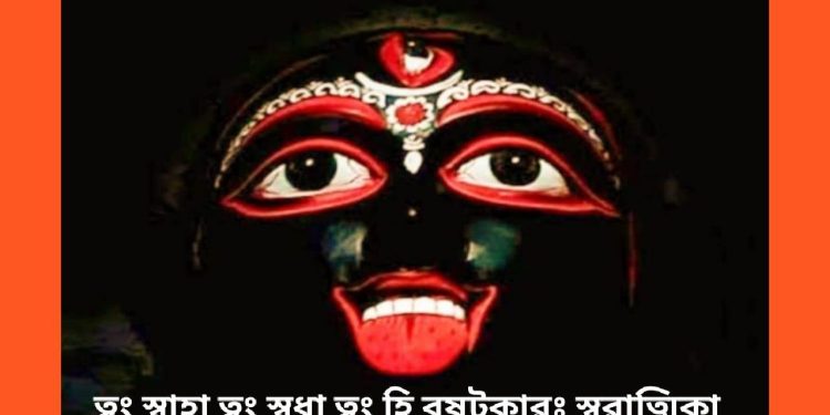 শ্রী মহাকালী স্তোত্রং : ইচ্ছা পূরণ, শত্রুর বিনাশ, মোক্ষ লাভ, শুদ্ধ ও উন্নত চেতনা লাভের জন্য