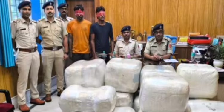 বহরমপুরে ৪৩৬ কেজি গাঁজাসহ গ্রেপ্তার হরিয়ানার ২ মাদক পাচারকারী 