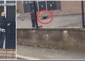 ম্যানচেস্টারে ইহুদিদের উপাসনালয়ে সন্ত্রাসী হামলা, নিহত ২, আহত ৩ 