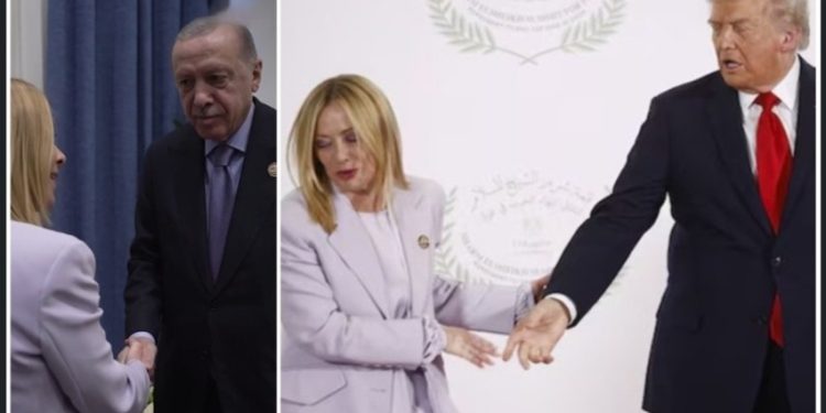 জর্জিয়া মেলোনির রূপে মজেছেন ডোনাল্ড ট্রাম্প ও এরদোগান 