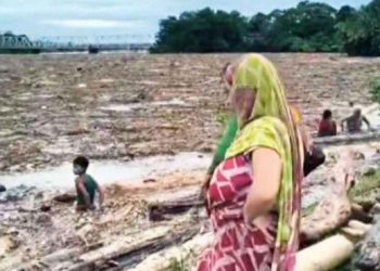 উত্তরবঙ্গের বন্যায় জানা গেল কিভাবে নির্বিচারে বন ধ্বংস করা হচ্ছে ; কোটি কোটি টাকা মূল্যের গাছের গুঁড়ি ভেসে যাচ্ছে বাংলাদেশে 