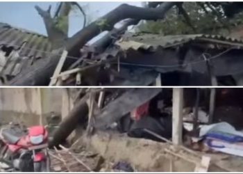 সন্দেশখালির গ্রামে টর্নেডোর দাপটে বিধ্বস্ত শতাধিক কাঁচা বাড়ি, আহত অন্তত ৬, খুঁটি ভেঙে বিদ্যুৎ বিচ্ছিন্ন গোটা এলাকা 