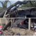 সন্দেশখালির গ্রামে টর্নেডোর দাপটে বিধ্বস্ত শতাধিক কাঁচা বাড়ি, আহত অন্তত ৬, খুঁটি ভেঙে বিদ্যুৎ বিচ্ছিন্ন গোটা এলাকা 