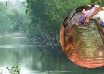 মহাসপ্তমীর দিন সুন্দরবনে মাছ ধরতে গিয়ে কুমিরের সাথে অসম লড়াইয়ে হেরে গেলেন সুব্রত মণ্ডল 