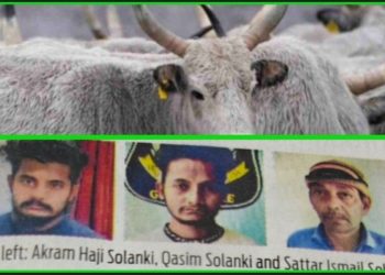 হিন্দু ধর্মে গরু পবিত্র জেনে বুঝেও গোহত্যা, তিন অভিযুক্তকে যাবজ্জীবন কারাদণ্ড দিল গুজরাটের আদালত 