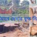 মুখ্যমন্ত্রীর নিষেধাজ্ঞাকে অমান্য করে এসআইআর-এর সূযোগে দেদার বৃক্ষ নিধন ; তৃণমূল নেতার নির্দেশে কাটা একাধিক গাছ বাজেয়াপ্ত করলো বন দফতর 