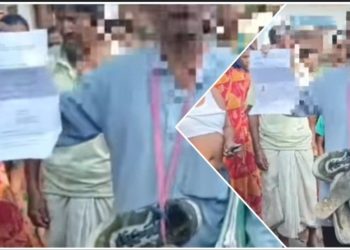 কোচবিহারের মাথাভাঙ্গায় বিজেপির বিএলএ-২ কে মারধর করে জুতোর মালা পরিয়ে এলাকায় ঘোরানোর অভিযোগ তৃণমূলের বিরুদ্ধে 