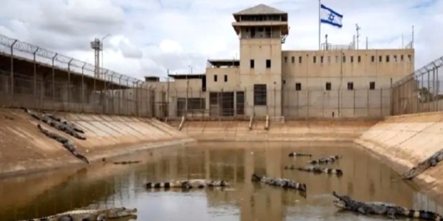 হামাস সন্ত্রাসীরা যাতে পালাতে না পারে সেজন্য কারাগারের চারদিকে পরিখা খনন করে কুমির ছেড়ে দেবে ইসরাইল