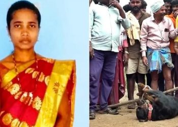 রাস্তায় ছেড়ে দেওয়া ২ বিদেশি কুকুর ছিঁড়ে খেলো মহিলাকে , অনাথ হয়ে গেল তার ৩ শিশু সন্তান