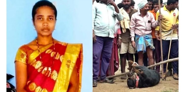 রাস্তায় ছেড়ে দেওয়া ২ বিদেশি কুকুর ছিঁড়ে খেলো মহিলাকে , অনাথ হয়ে গেল তার ৩ শিশু সন্তান