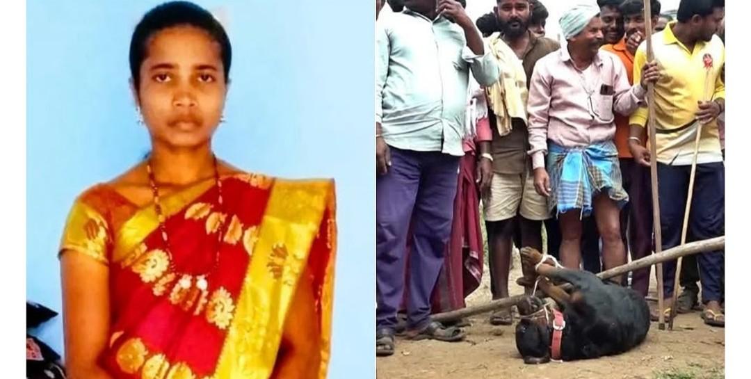 রাস্তায় ছেড়ে দেওয়া ২ বিদেশি কুকুর ছিঁড়ে খেলো মহিলাকে , অনাথ হয়ে গেল তার ৩ শিশু সন্তান