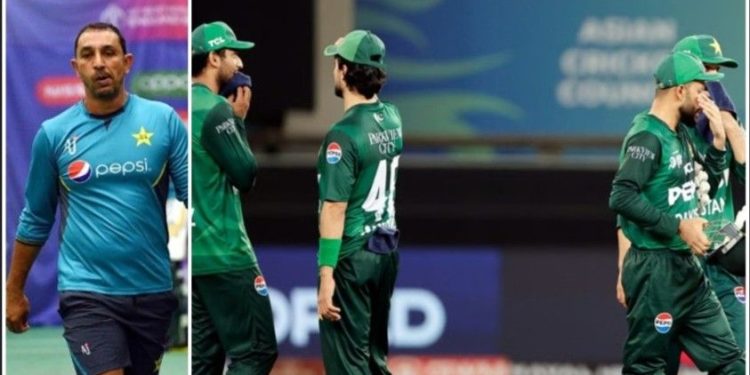 চুক্তির মেয়াদ শেষ হওয়ার ৩ মাস আগেই টেস্ট প্রধান কোচকে বিদায় দিল পাকিস্তান ক্রিকেট বোর্ড 