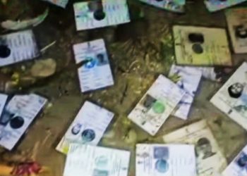 নবদ্বীপে নিকাশি নালার পাশ থেকে উদ্ধার প্রচুর ভুয়ো ভোটারকার্ড 