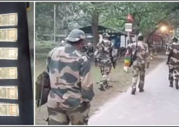 নদীয়ায় পাচারের আগেই ৩ লক্ষাধিক টাকার জাল ভারতীয় নোট উদ্ধার করল বিএসএফ 