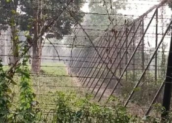 এসআইআর আতঙ্কে সীমান্তে ভিড় জমিয়েছে অনুপ্রবেশকারীরা : বলছে বাংলাদেশি মিডিয়া ; তবে মমতা ব্যানার্জি আশ্বস্ত করায় অভয়বাণীও শোনানো হয়েছে 