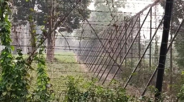 এসআইআর আতঙ্কে সীমান্তে ভিড় জমিয়েছে অনুপ্রবেশকারীরা : বলছে বাংলাদেশি মিডিয়া ; তবে মমতা ব্যানার্জি আশ্বস্ত করায় অভয়বাণীও শোনানো হয়েছে