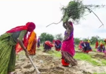 একশ দিনের কাজ প্রকল্প থেকে গান্ধীর নাম বাদ, লোকসভায় পাস হল জি রাম জি বিল