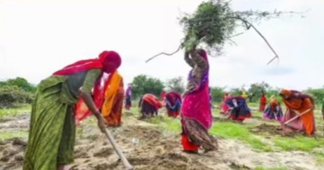 একশ দিনের কাজ প্রকল্প থেকে গান্ধীর নাম বাদ, লোকসভায় পাস হল জি রাম জি বিল