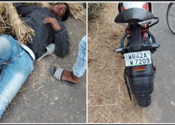 সড়কপথে তিনচাকা সাইকেল চালাচ্ছিল ৪ বছরের শিশু, পিছন থেকে সজোরে ধাক্কা দিল বেপরোয়া বাইক, তারপর….