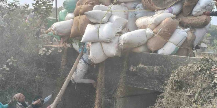 উলটে গেল ধান বোঝাই ট্রাক্ট্রর, দু’পা ভাঙলেও বরাত জোরে বেঁচে গেলেন পথচারী 