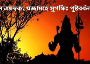 শিবাপরাধ ক্ষমাপণ স্তোত্রম্