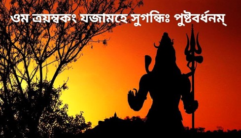 শিবাপরাধ ক্ষমাপণ স্তোত্রম্