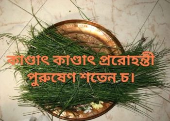 দুর্বা সূক্তম্ (মহানারায়ণ উপনিষদ্) : অদম্য জীবনশক্তি, শুদ্ধতা এবং প্রকৃতির আশীর্বাদের প্রতীক দূর্বা ঘাসের উদ্দেশ্যে নিবেদিত উপনিষদের এক পবিত্র মন্ত্র