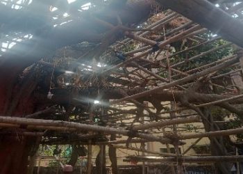 কালনা শহরে নির্মীয়মান সরস্বতী মণ্ডপে ভয়াবহ অগ্নিকাণ্ড