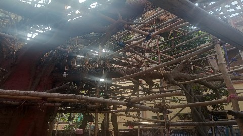 কালনা শহরে নির্মীয়মান সরস্বতী মণ্ডপে ভয়াবহ অগ্নিকাণ্ড