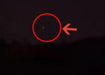 রাজৌরিতে নিয়ন্ত্রণ রেখার কাছে পাকিস্তানি ড্রোন লক্ষ্য করে ভারতীয় সেনাবাহিনীর গুলিবর্ষণ